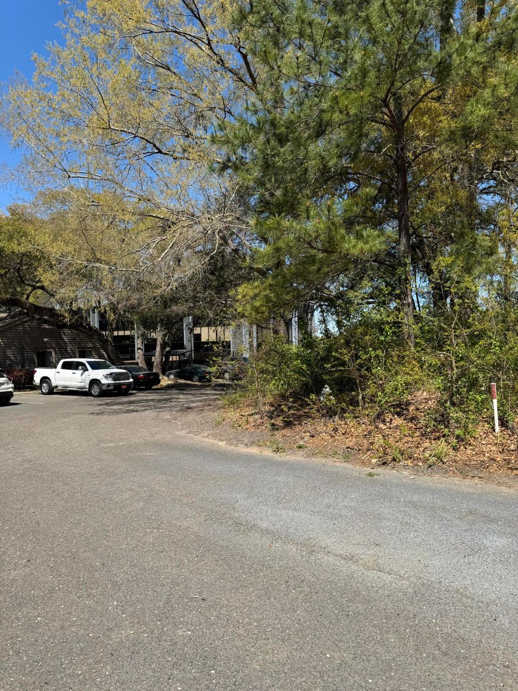 Photo of 8730 N Northprk Boulevard, Charleston, SC 29406 (MLS # 25010138)