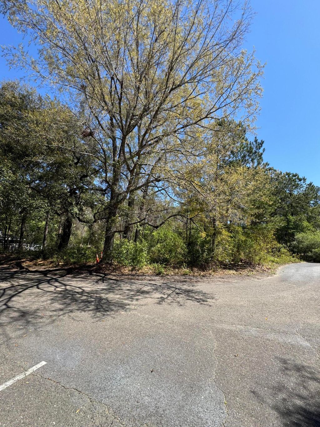 Photo of 8730 N Northprk Boulevard, Charleston, SC 29406 (MLS # 25010138)
