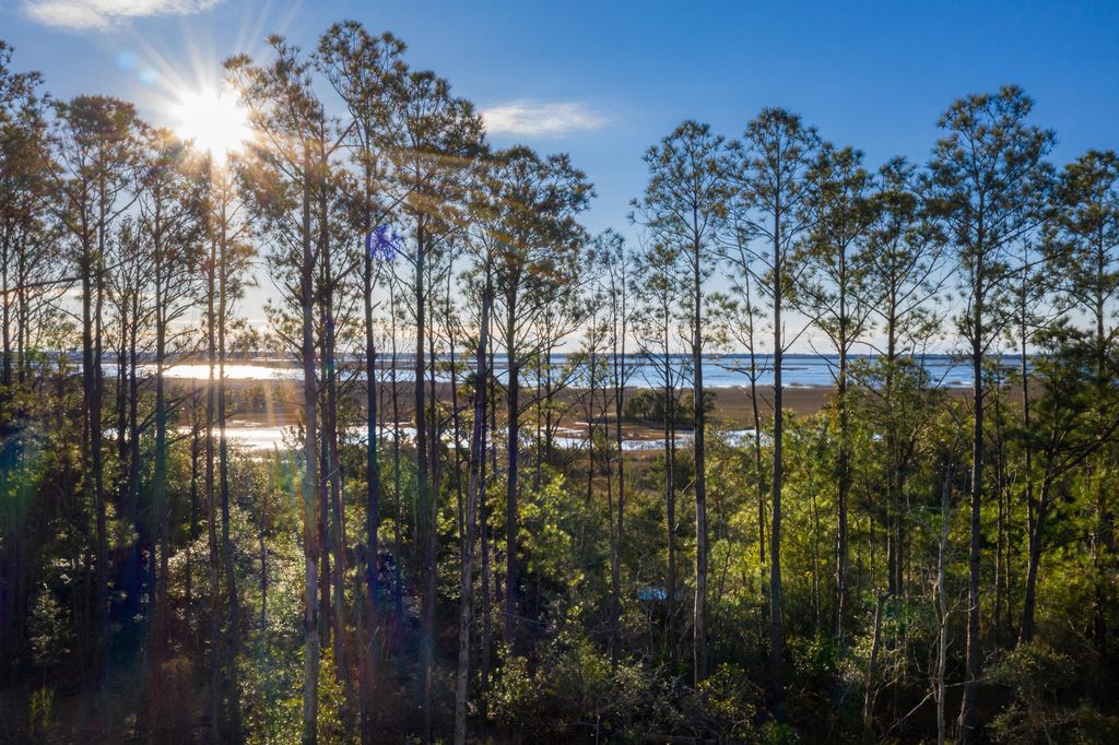 Photo of 2292 Minifarm Way #526, Mount Pleasant, SC 29466 (MLS # 26001774)