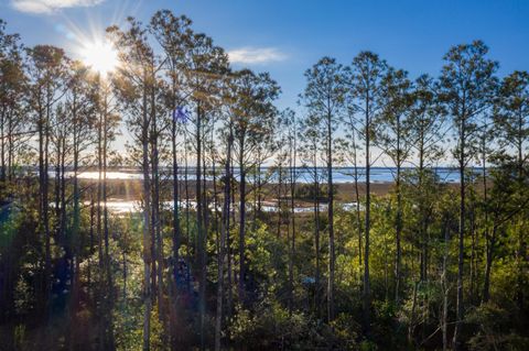 Photo of 2292 Minifarm Way #526, Mount Pleasant, SC 29466 (MLS # 26001774)