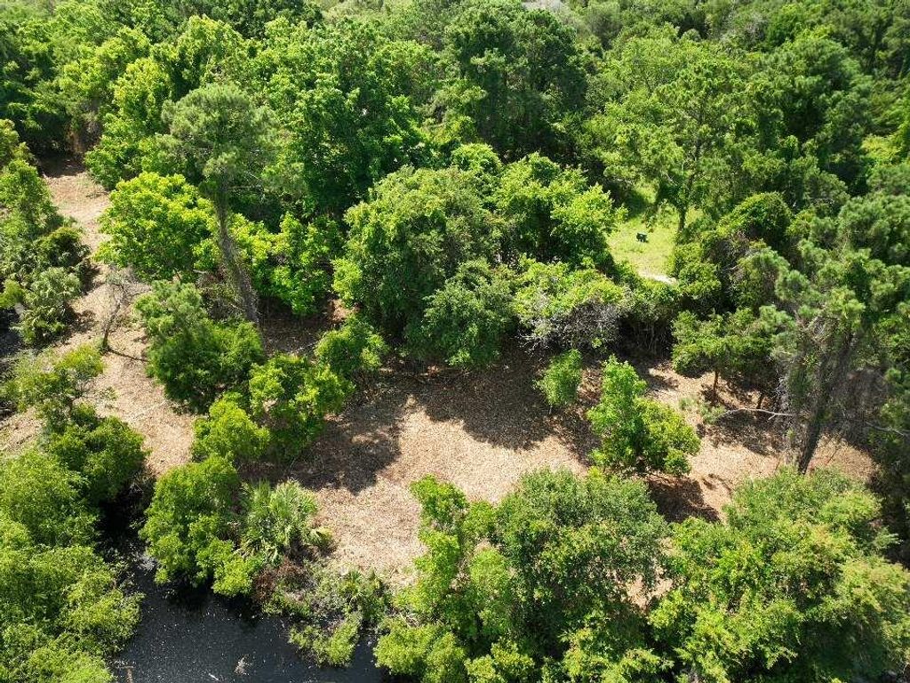 Photo of 697 Jan Savage Way #Lot (A-A-A), Edisto Island, SC 29438 (MLS # 24024444)