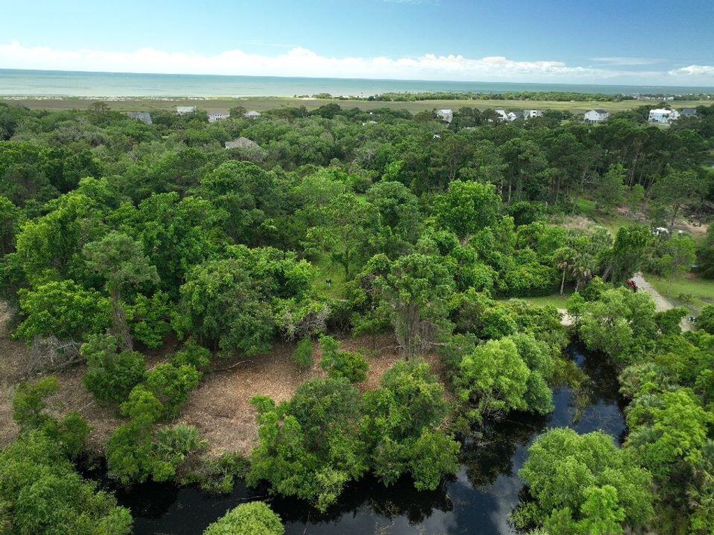 Photo of 697 Jan Savage Way #Lot (A-A-A), Edisto Island, SC 29438 (MLS # 24024444)