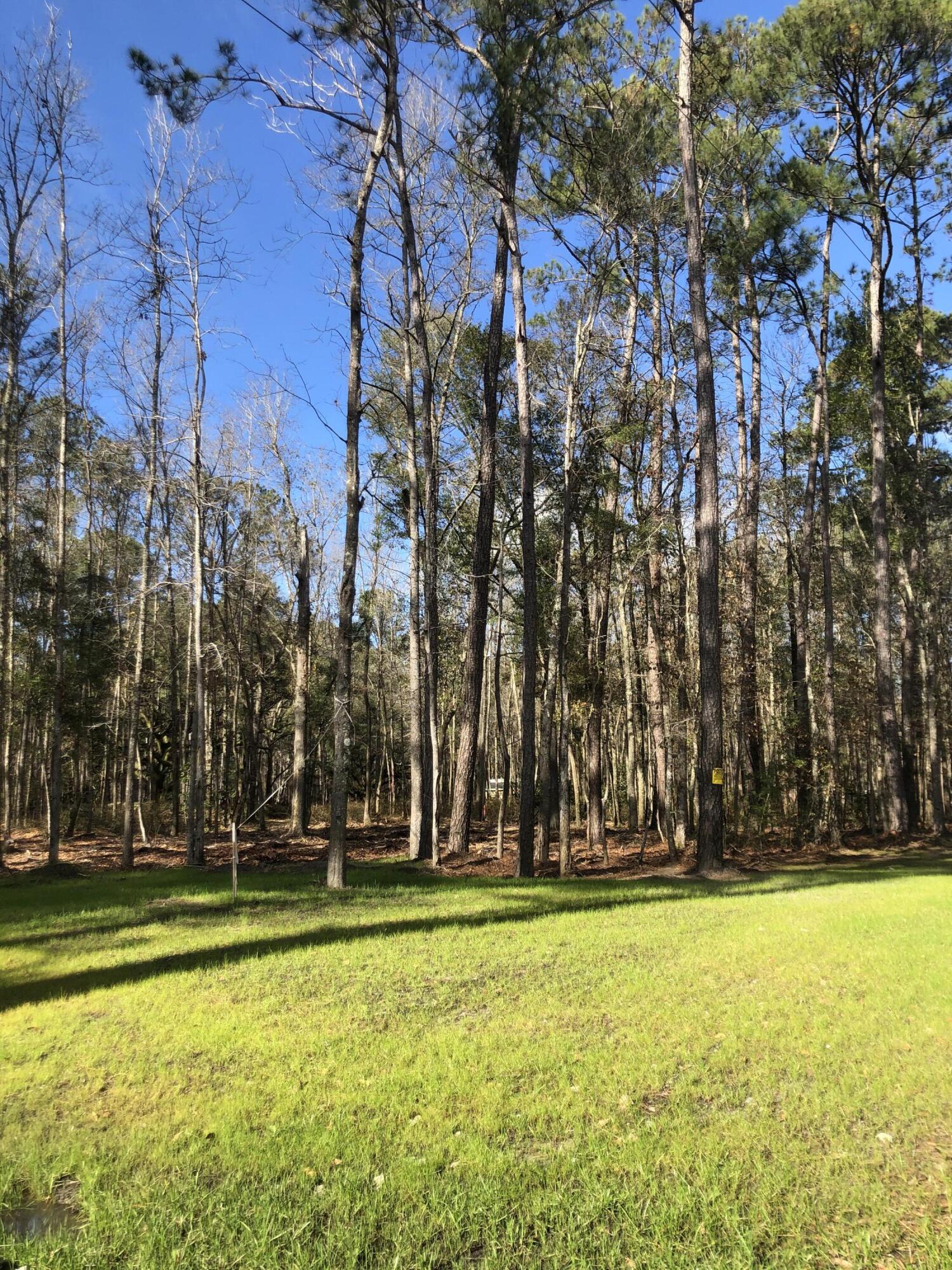 Photo 5 of 7 of 3914 Chisolm Road land