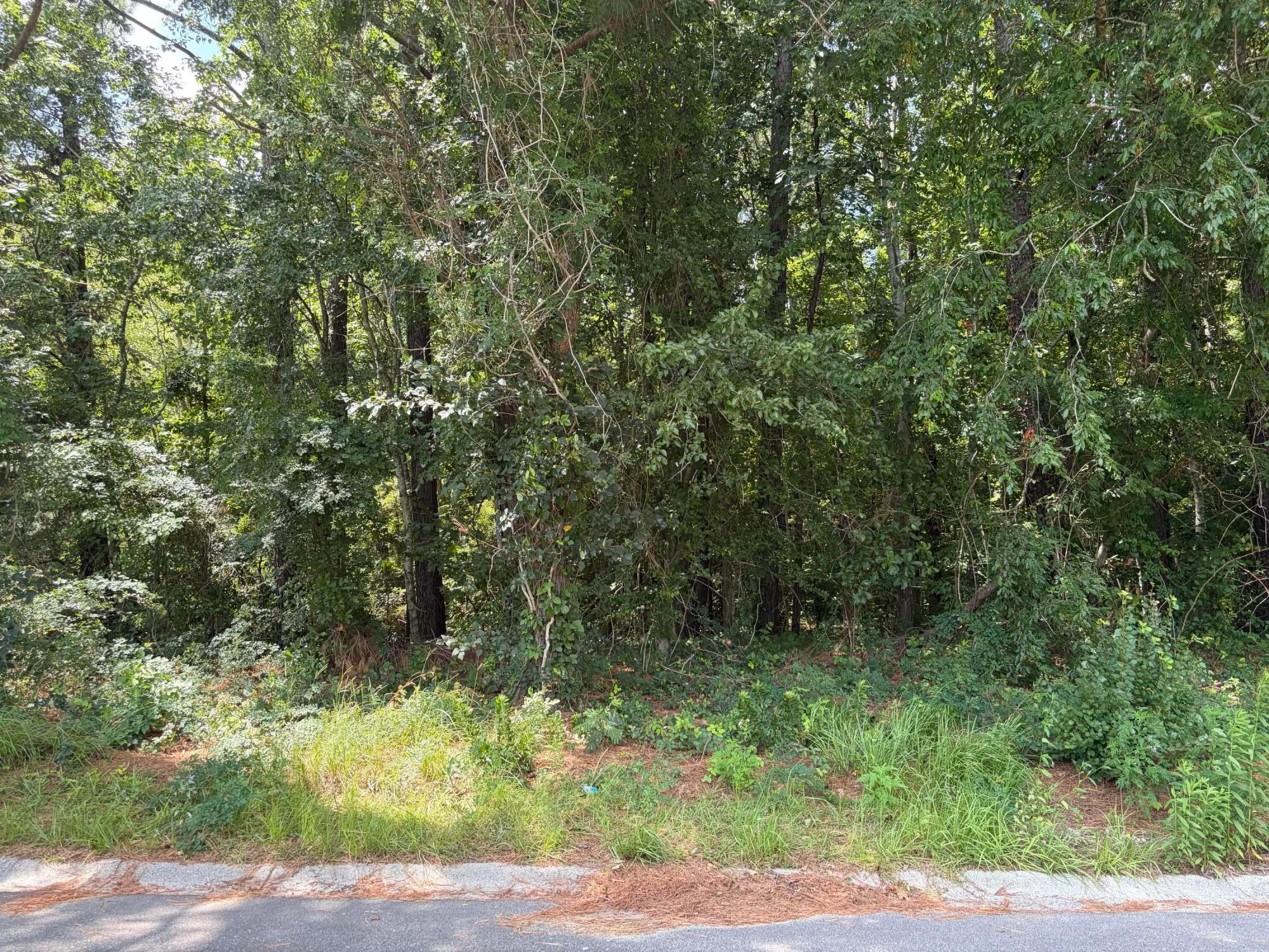 308 E Poplar Branch Drive