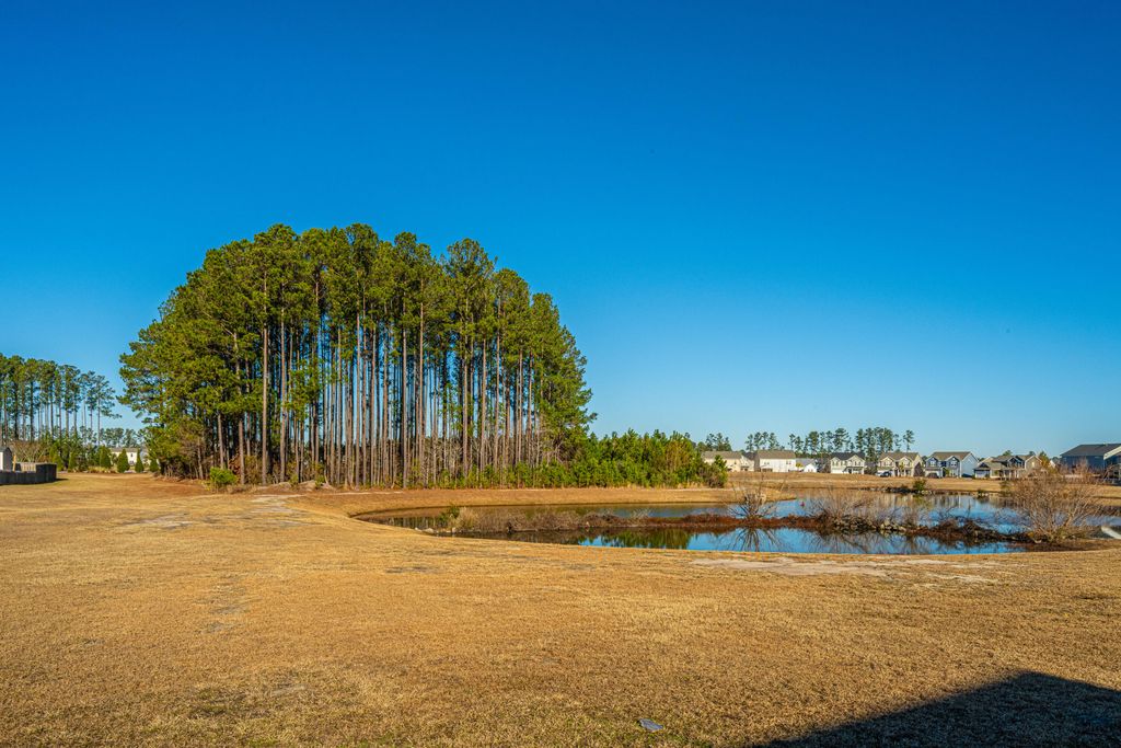 Photo of 394 Sanctuary Park Drive, Summerville, SC 29486 (MLS # 25032148)