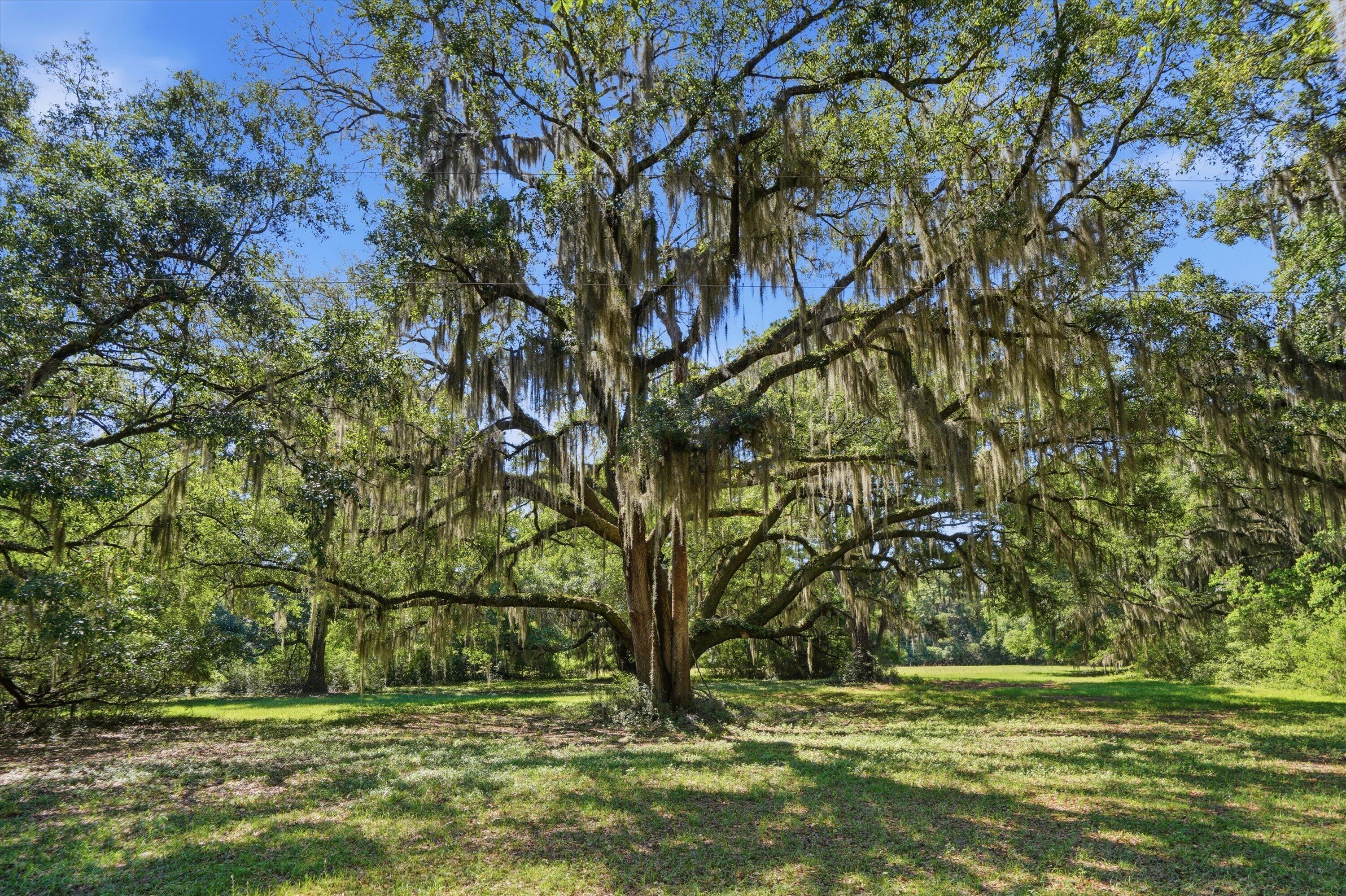 7817 Little Britton Road Lot C-3