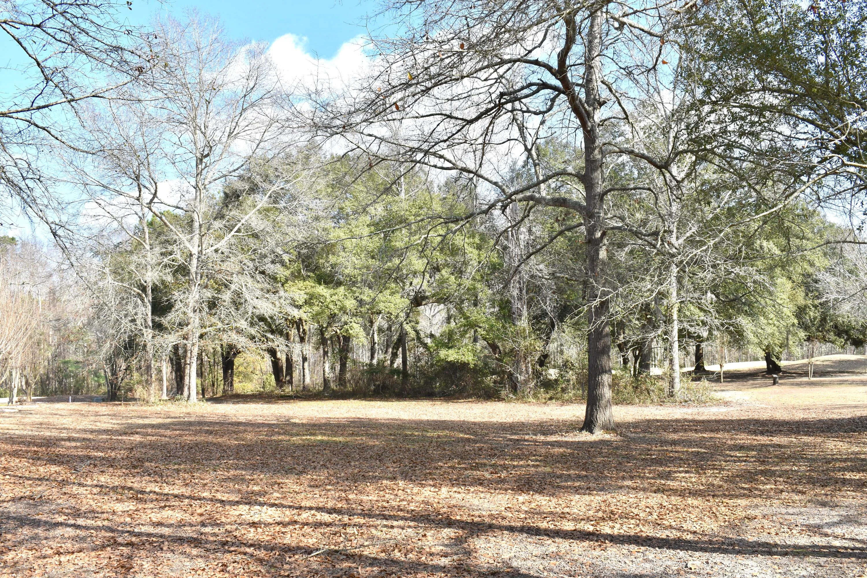21 Fairway Drive