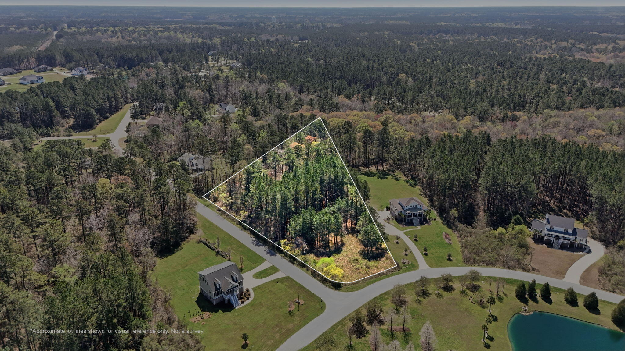 1313 Wood Sorrel Drive