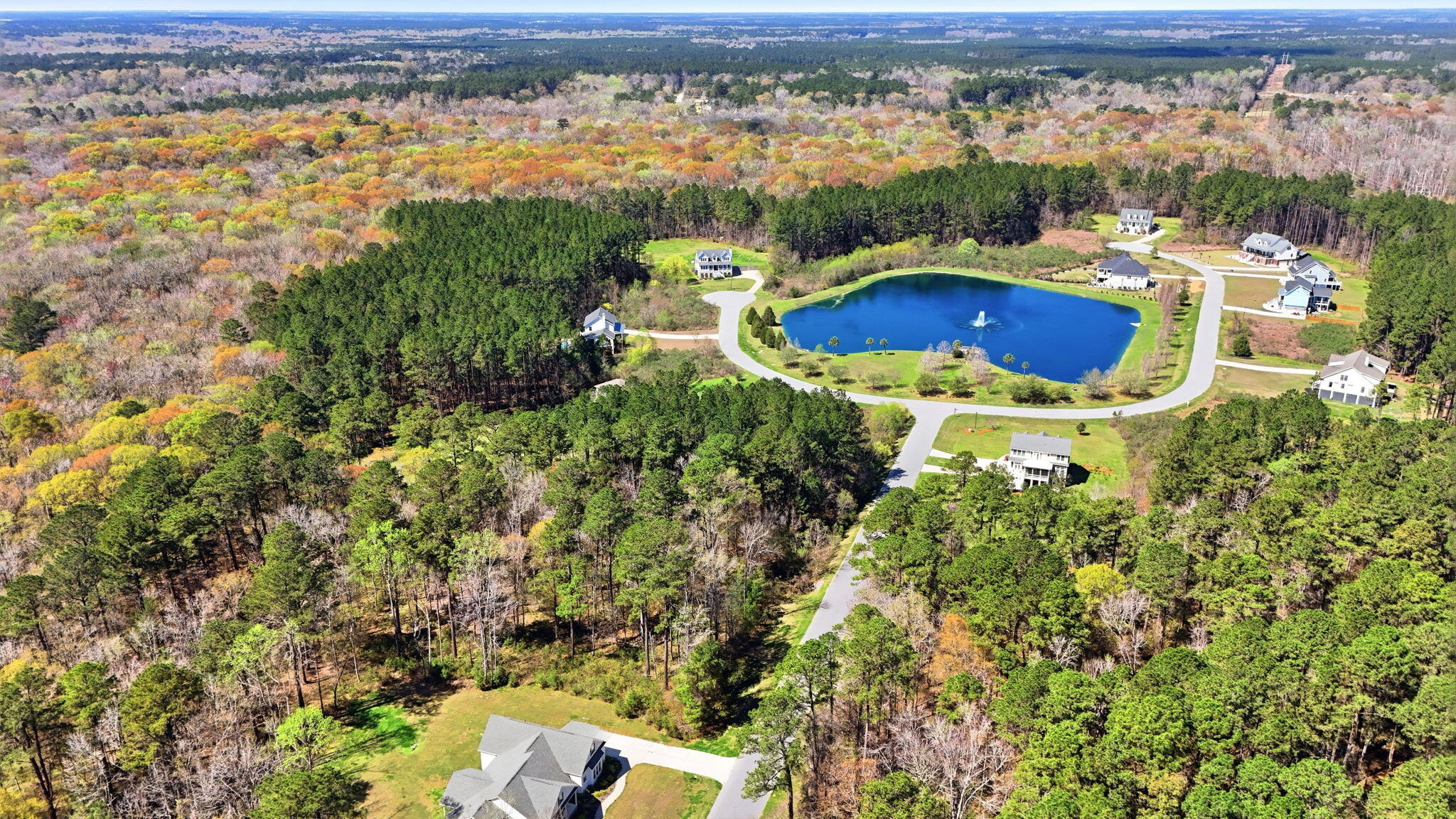 1313 Wood Sorrel Drive