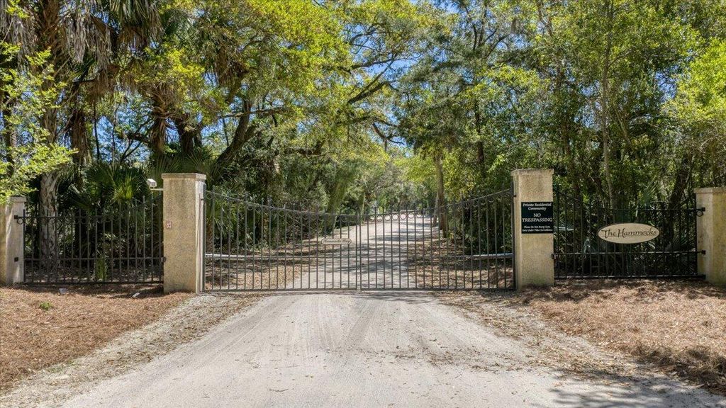 Photo of 44 Hammocks Way, Edisto Island, SC 29438 (MLS # 26010543)
