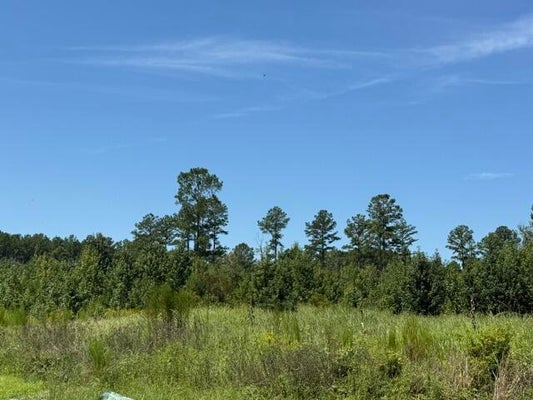 LATHAN DR, ORANGEBURG, SC 29118 - Image d23a8368a2f0910ff55ba281c6873aac/3408317007