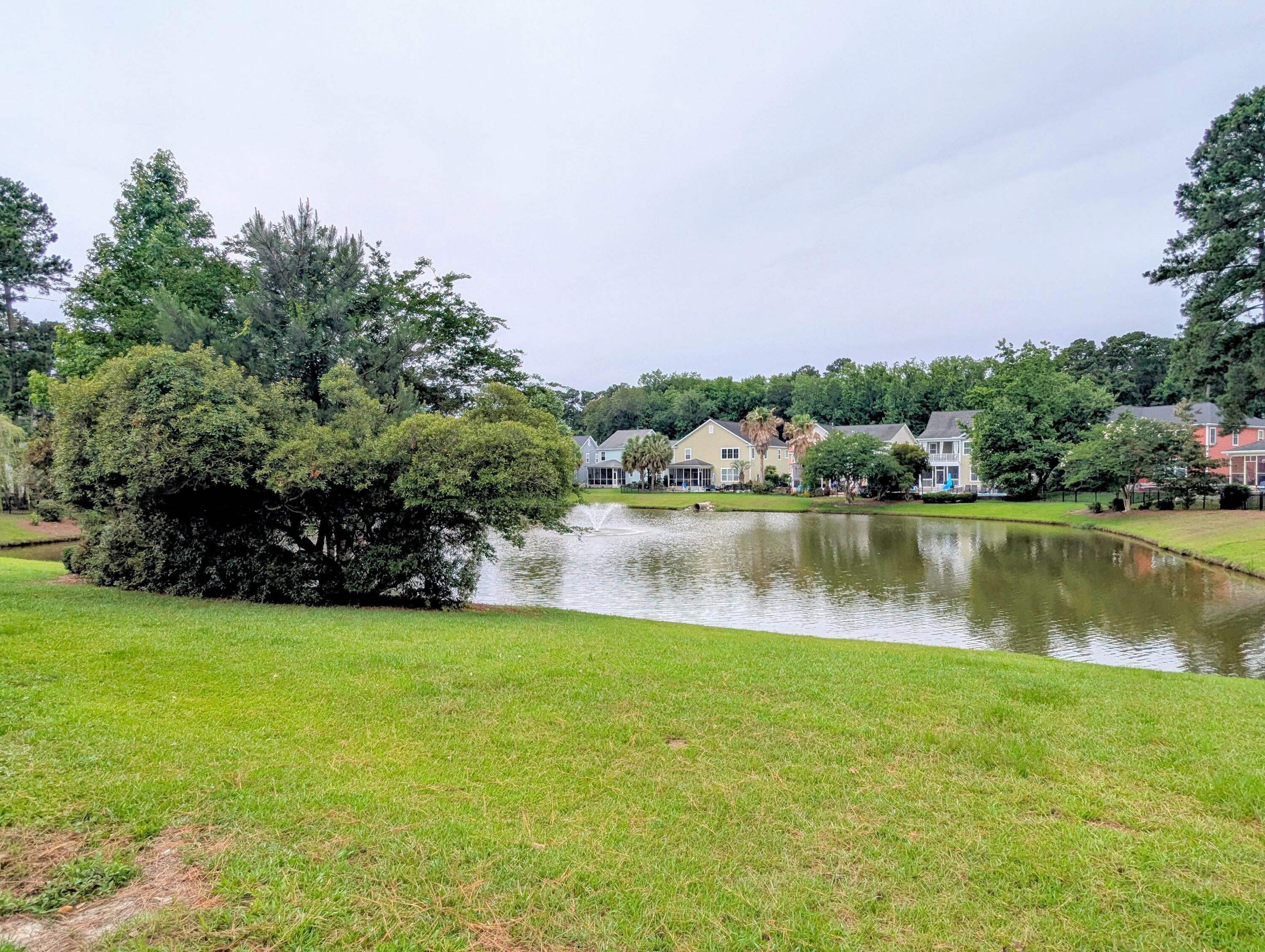 309 Branch Creek Trail