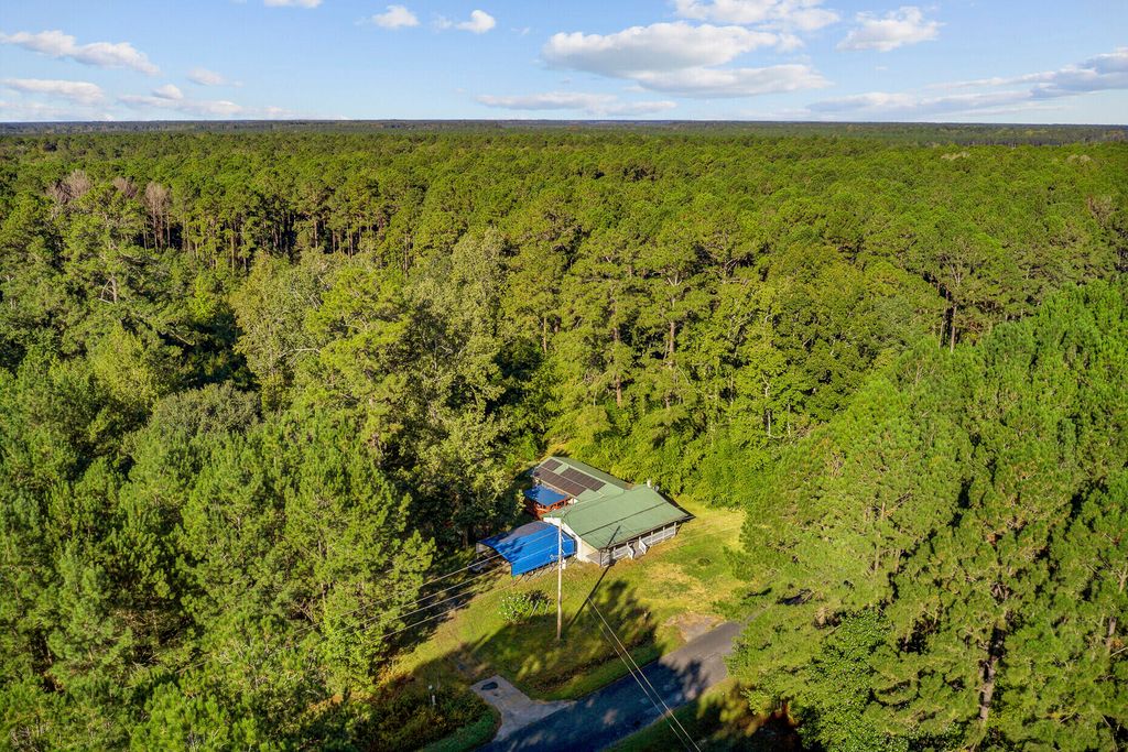Photo of 3845 Rum Gully Road, Islandton, SC 29929 (MLS # 25028557)