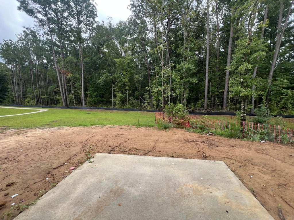 Photo of 243 Central Creek Drive, Goose Creek, SC 29445 (MLS # 26022177)