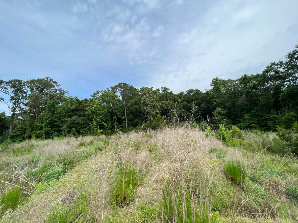 Photo of 2017 Paul Chavis Lane Charleseton Lane, Charleston, SC 29412 (MLS # 26019069)