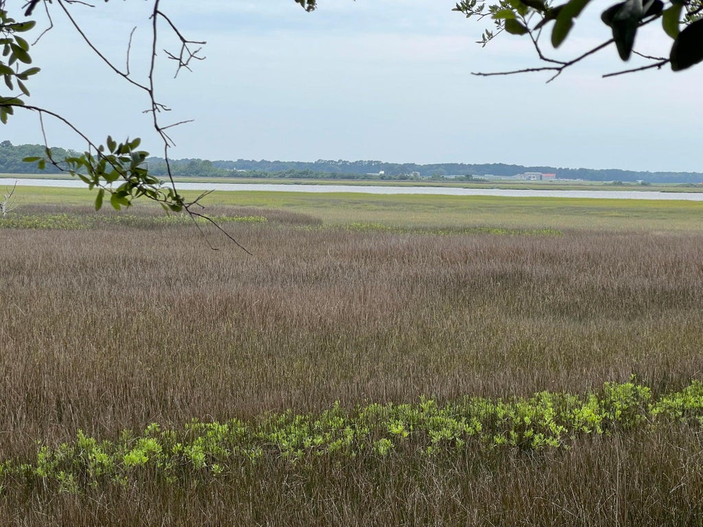 Photo of 2017 Paul Chavis Lane Charleseton Lane, Charleston, SC 29412 (MLS # 26019069)