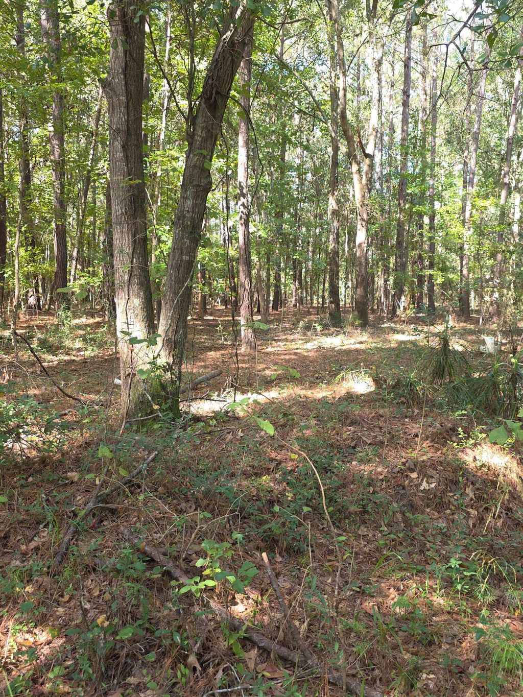 Photo of 1142 Choice Road, Johns Island, SC 29455 (MLS # 25028997)