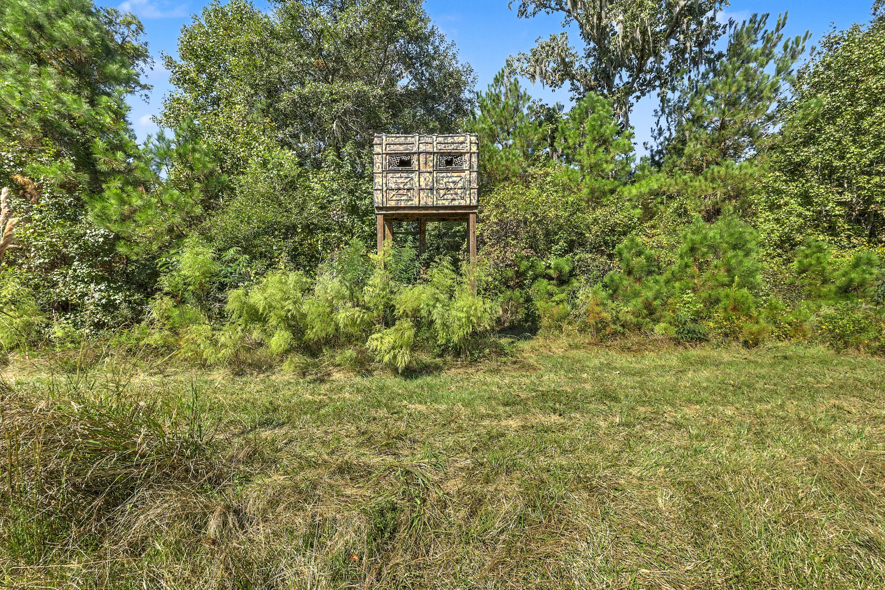 9750 Cottageville Highway
