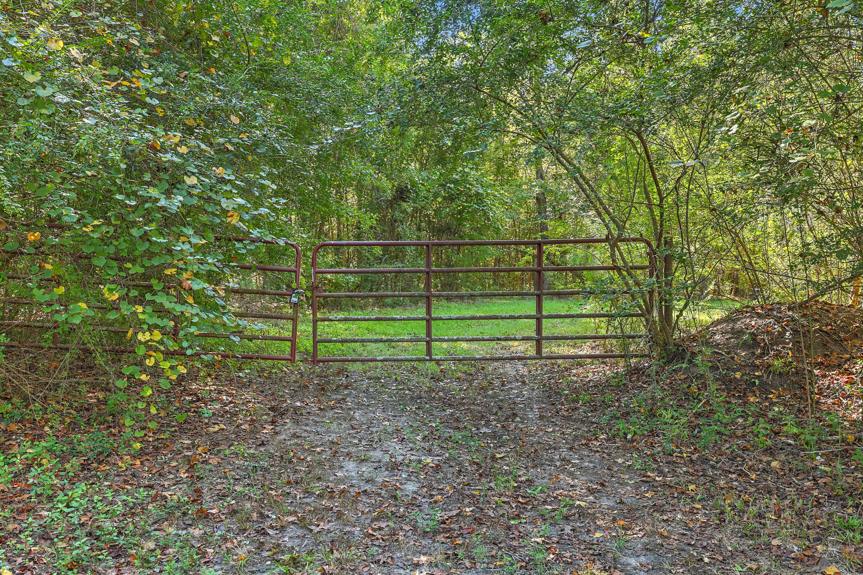9750 Cottageville Highway