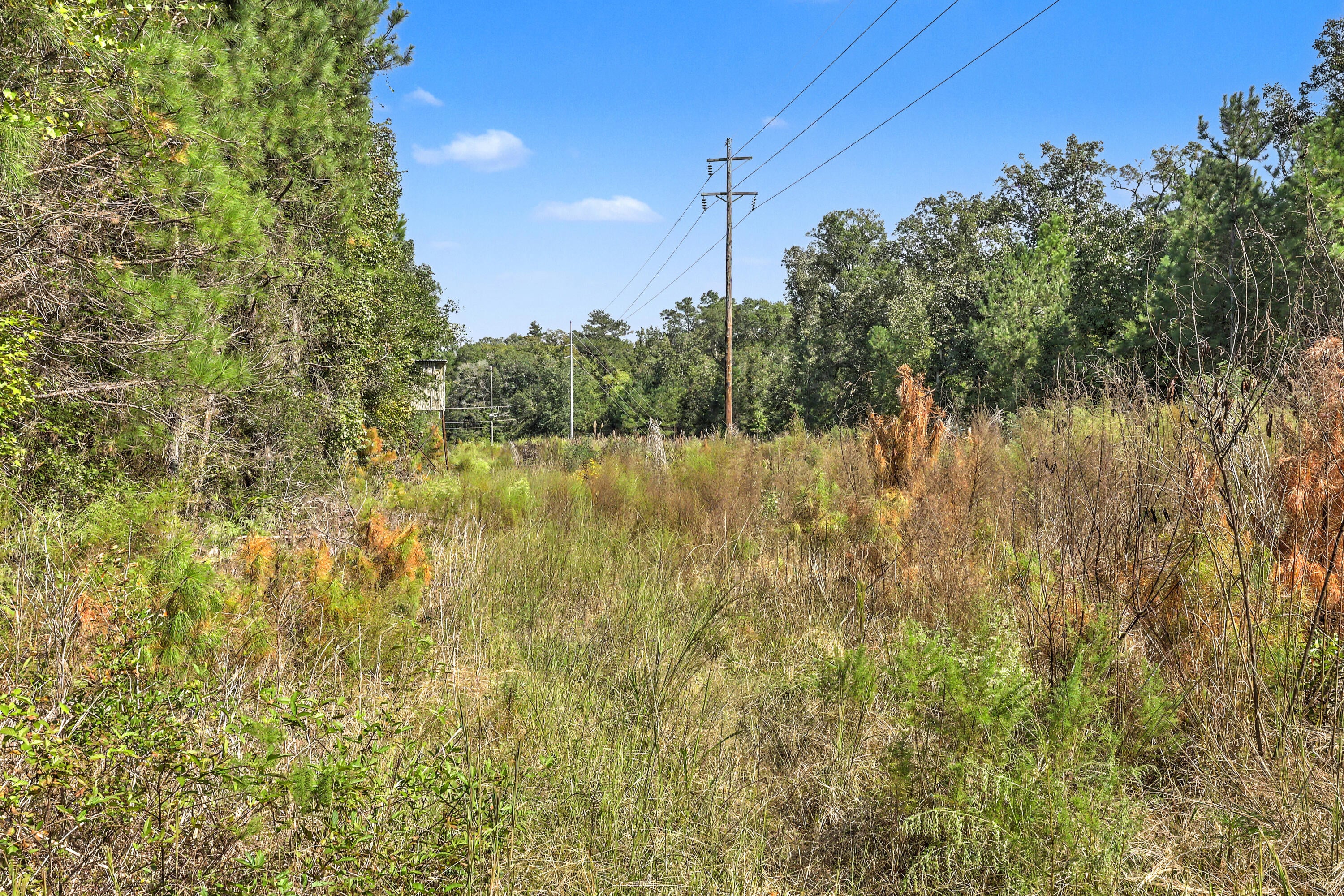9750 Cottageville Highway