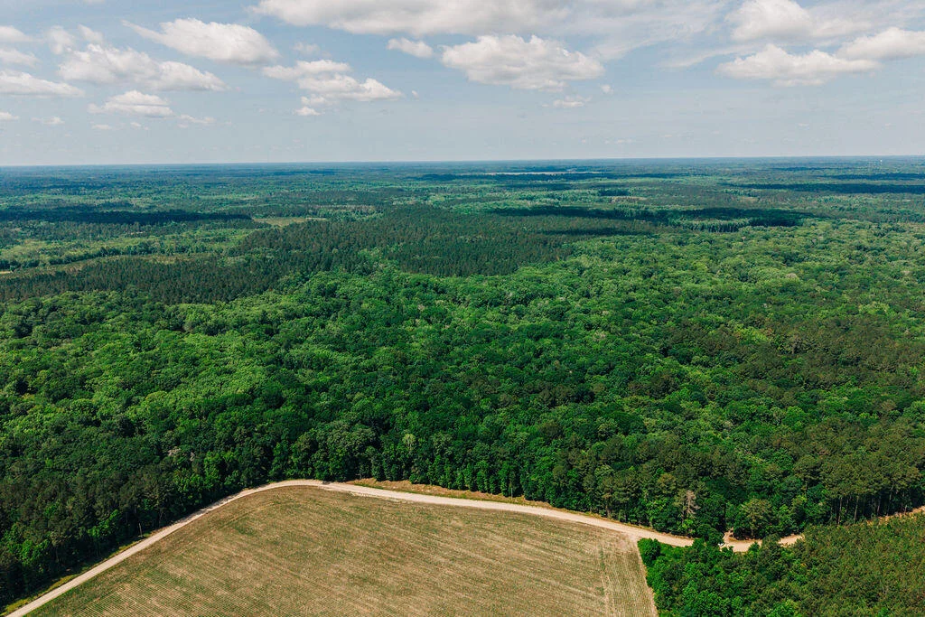 1 Parnel Road, Cope, SC, 29038