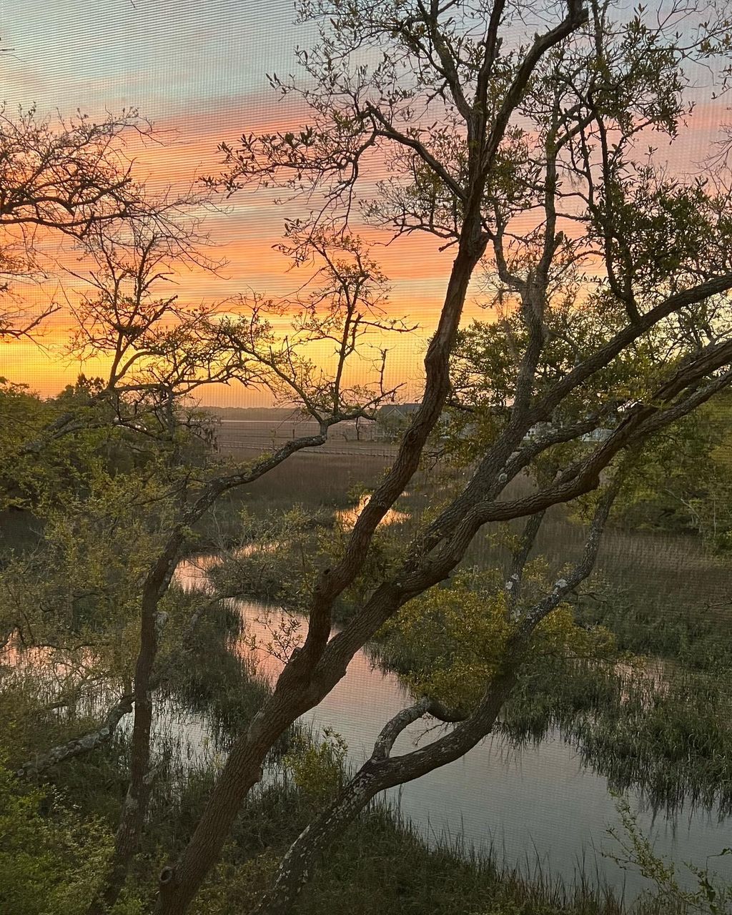 Photo of 2020 Long Bend Dr, Seabrook Island, SC 29455 (MLS # 26009435)