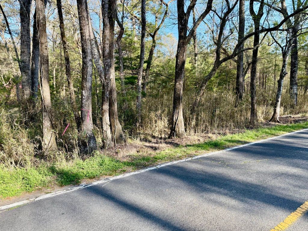 Photo of 6956 Parkers Ferry Road, Adams Run, SC 29426 (MLS # 25008211)