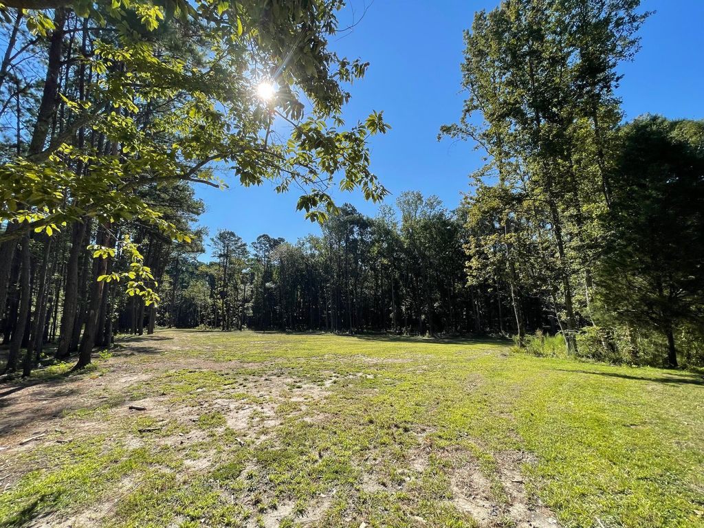 Photo of 113 Gen Estates Lane, Summerville, SC 29486 (MLS # 25008602)