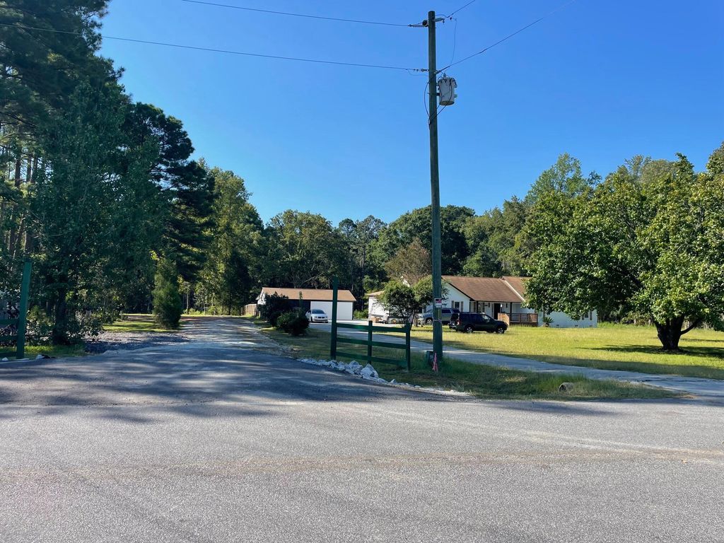 Photo of 113 Gen Estates Lane, Summerville, SC 29486 (MLS # 25008602)