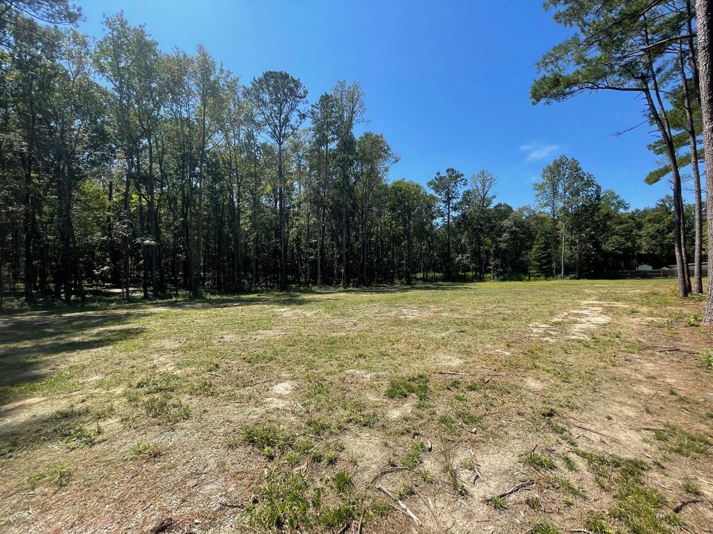 Photo of 113 Gen Estates Lane, Summerville, SC 29486 (MLS # 25008602)