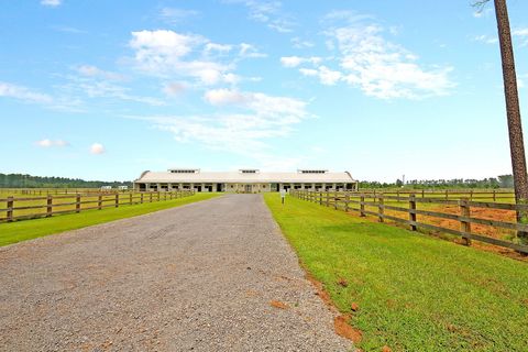 A home in Ravenel