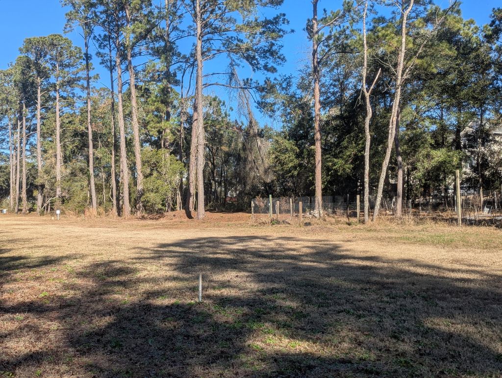 Photo of 2128 Mcneil Washington Road, Charleston, SC 29412 (MLS # 26013727)