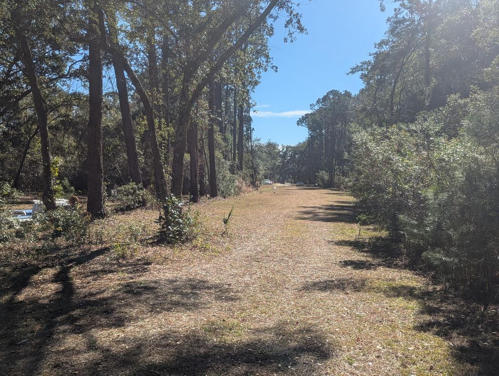 Photo of 2128 Mcneil Washington Road, Charleston, SC 29412 (MLS # 26013727)