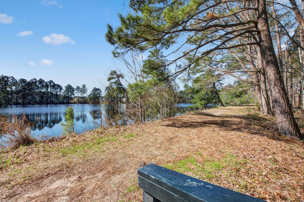 Photo of 169 Woodbrook Way, Moncks Corner, SC 29461 (MLS # 26006032)
