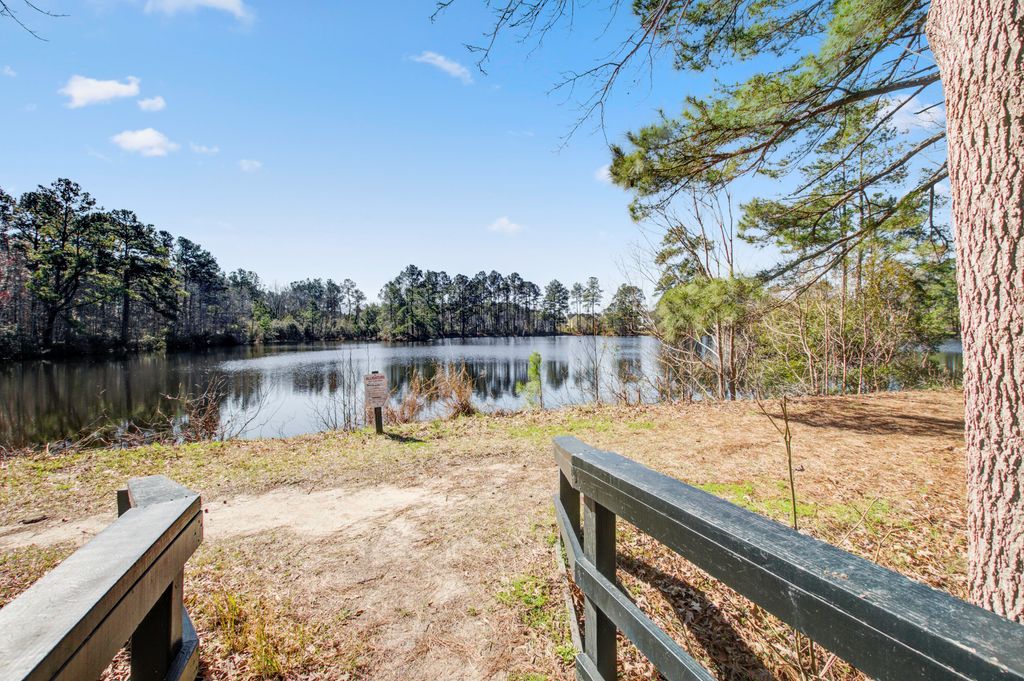 Photo of 169 Woodbrook Way, Moncks Corner, SC 29461 (MLS # 26006032)