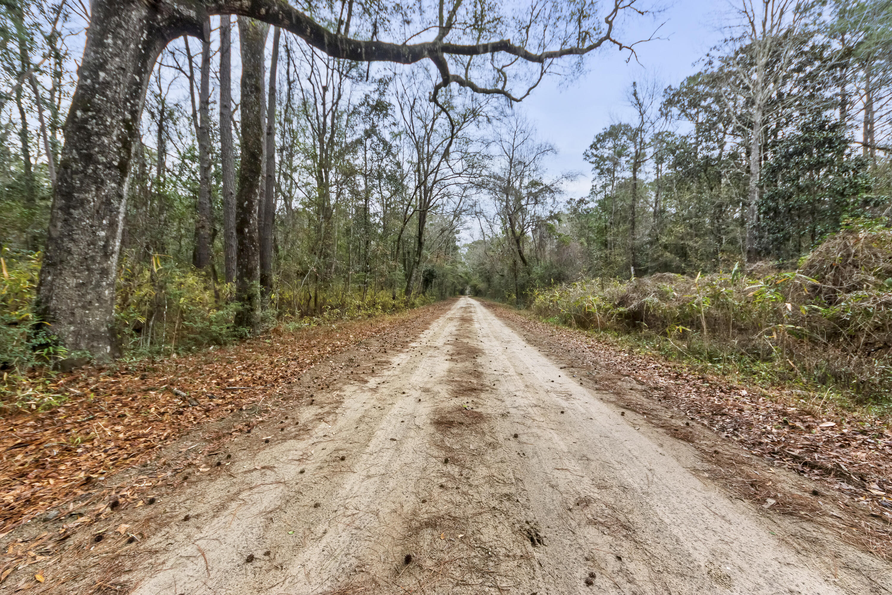 8874 Old Georgetown Road