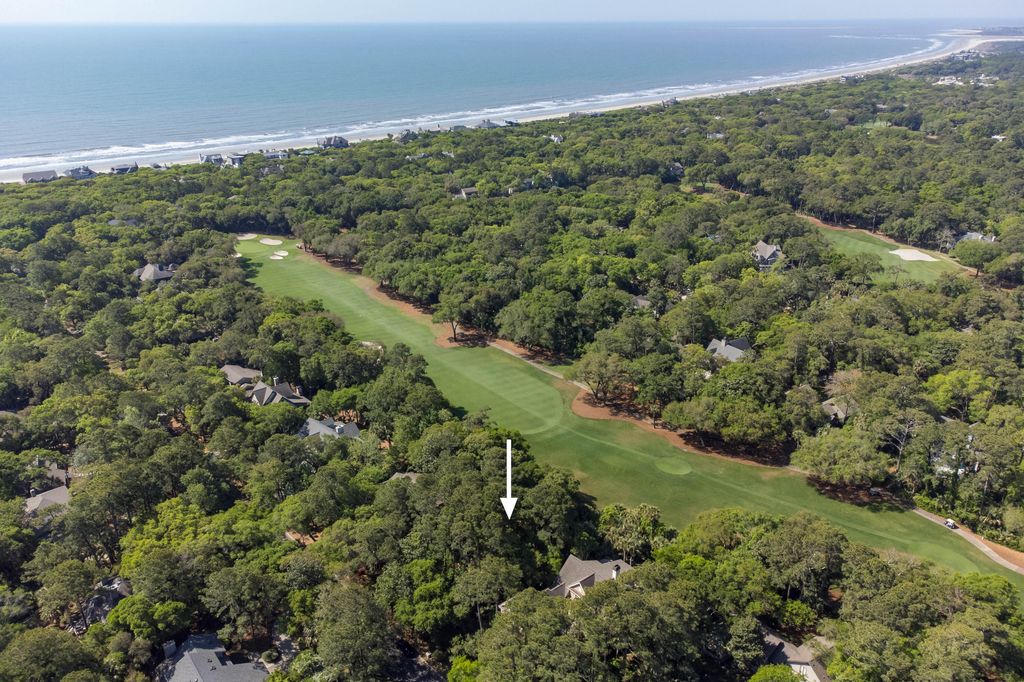 Photo of 386 Green Winged Teal Road, Kiawah Island, SC 29455 (MLS # 26011107)