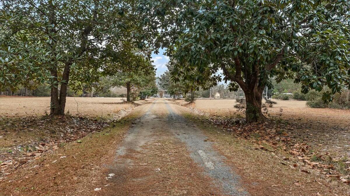 4689 Causey Pond Road