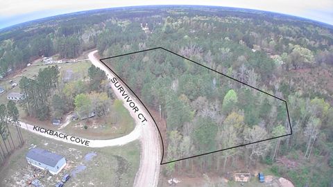 Tbd Survivor Court Round O SC 29474