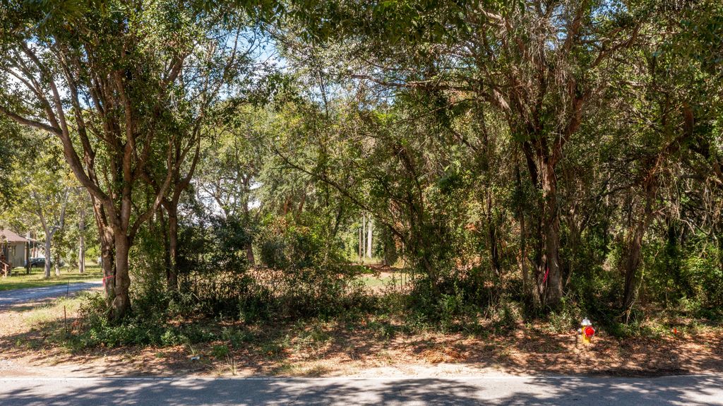Photo of 1994 Sol Legare Road, Charleston, SC 29412 (MLS # 25026402)
