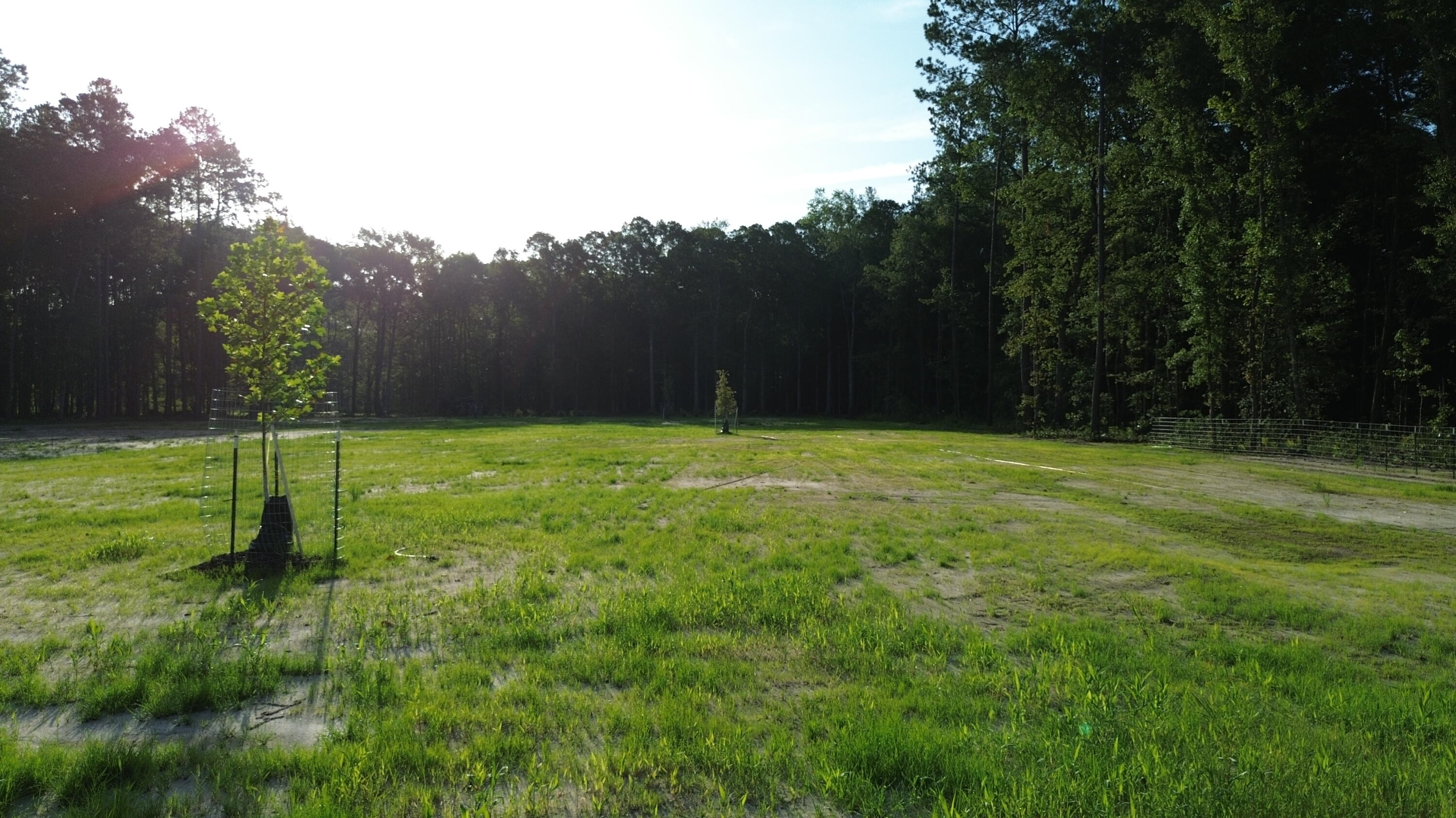 379 Fish Road Estates Lane