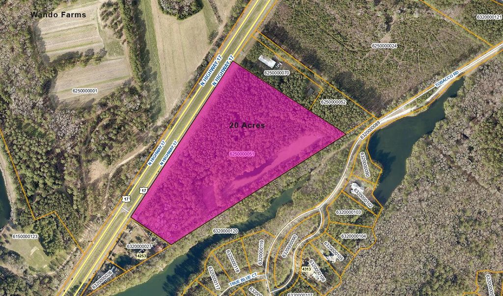 Photo of 4299 N Hwy 17, Awendaw, SC 29429 (MLS # 24029612)