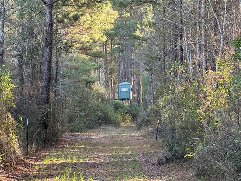 0 Highway 17a Jamestown SC 29453