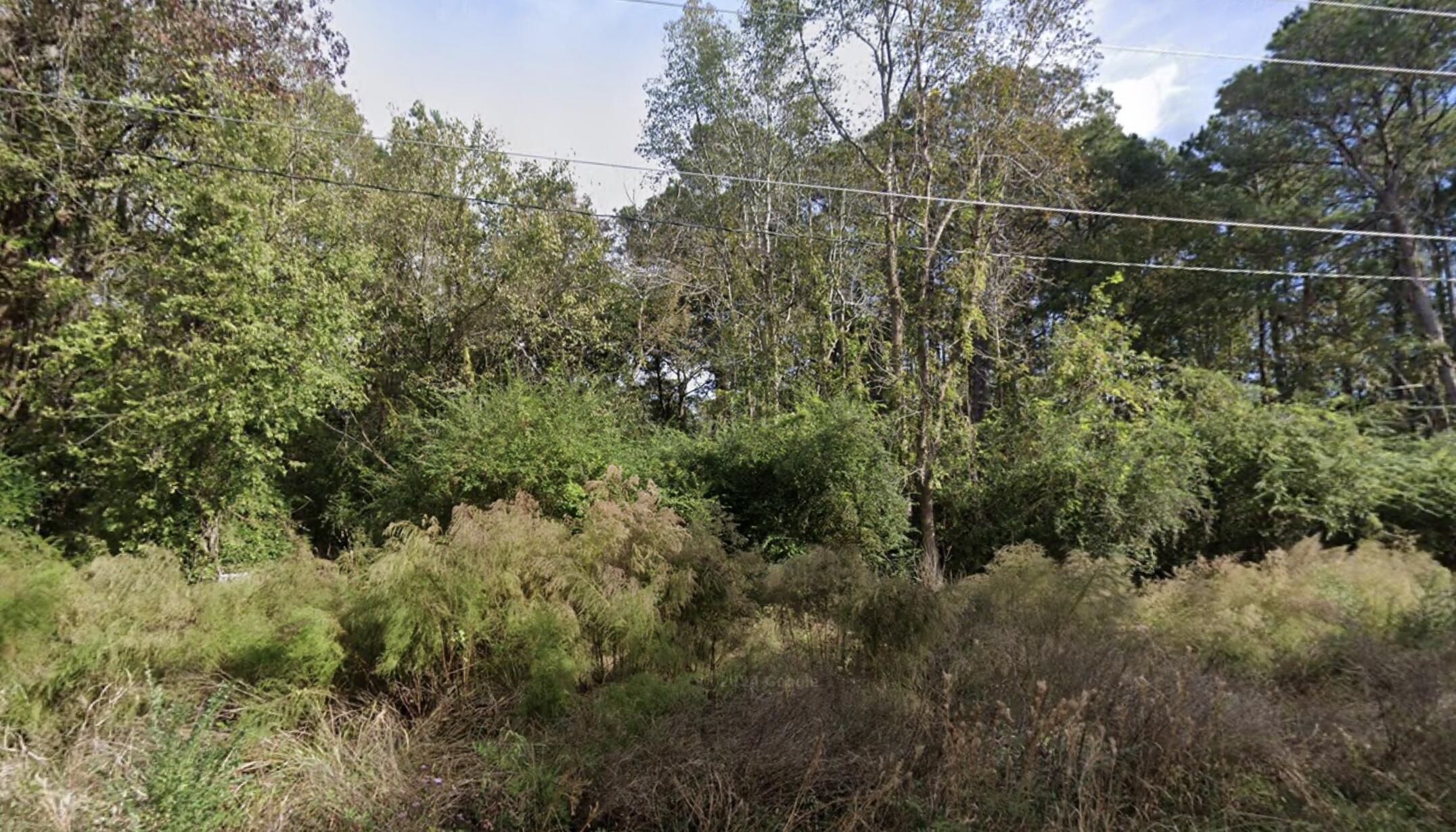 1301 Williams Lane