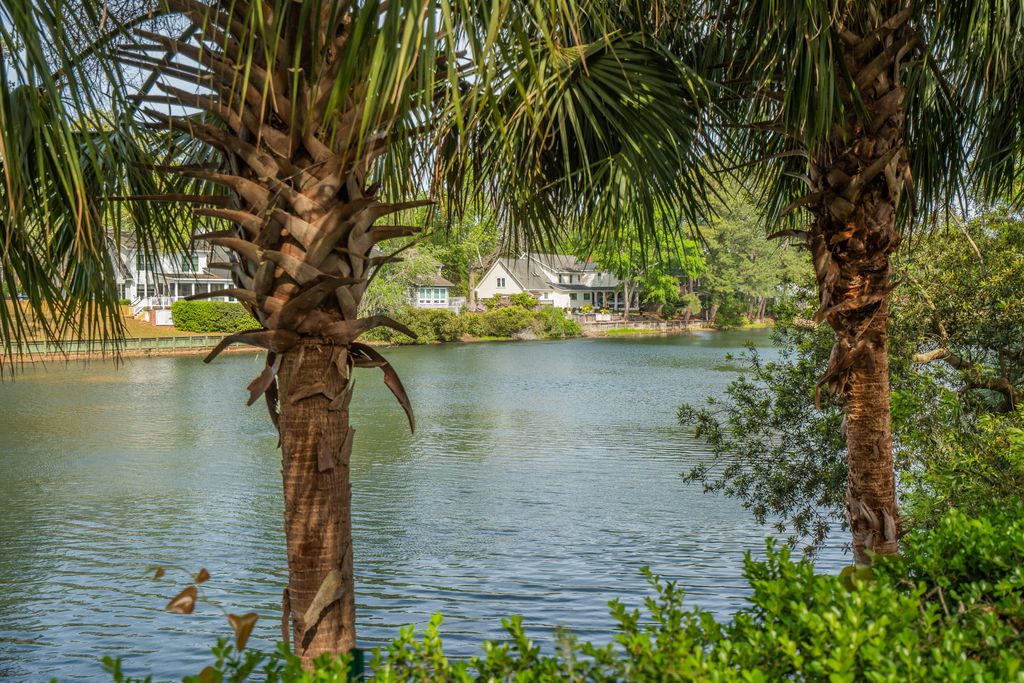 Photo of 593 Marshgrass Boulevard, Mount Pleasant, SC 29464 (MLS # 26010690)