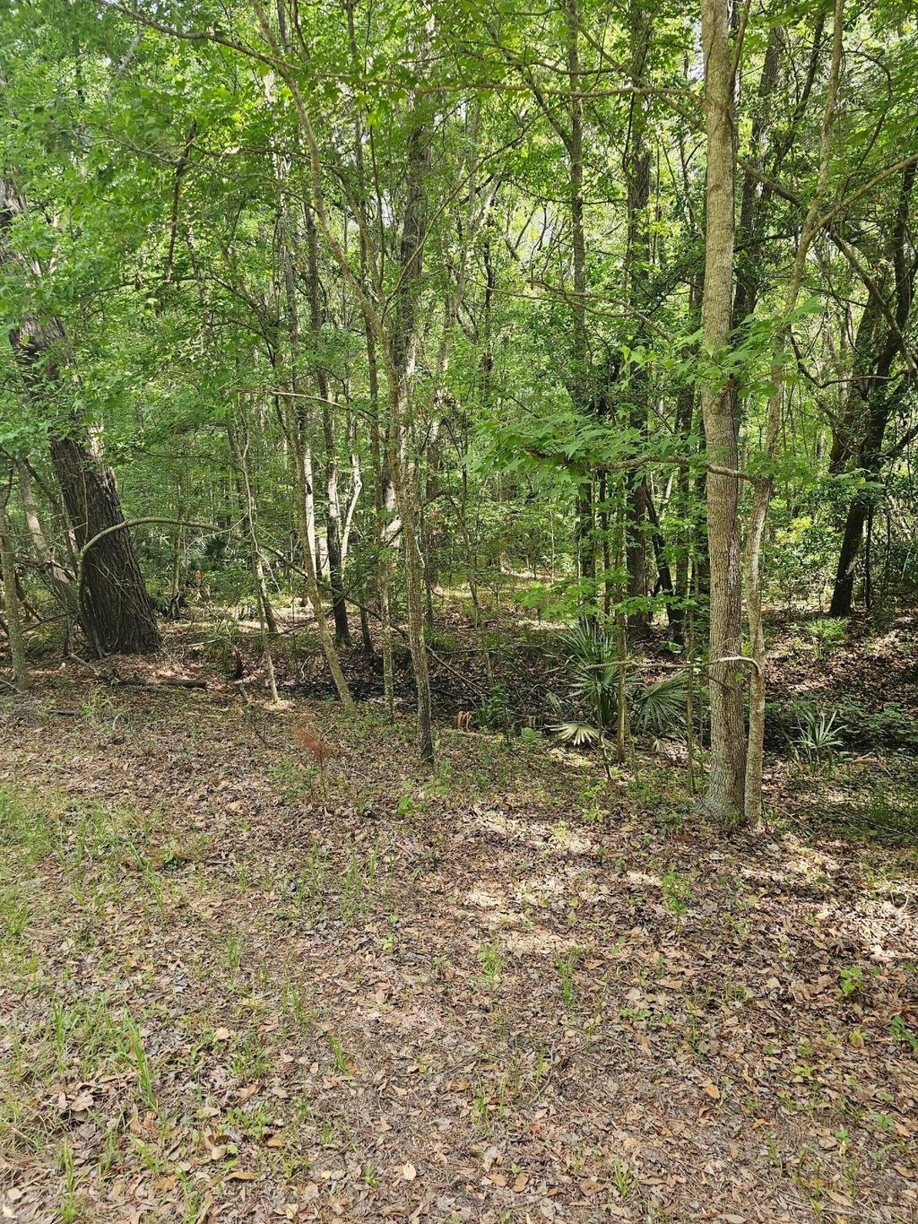 Photo of 3910 Benjamin Road, Johns Island, SC 29455 (MLS # 25012678)