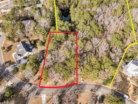 Photo of 3786 Saint Ellens Drive, Mount Pleasant, SC 29466 (MLS # 26002726)