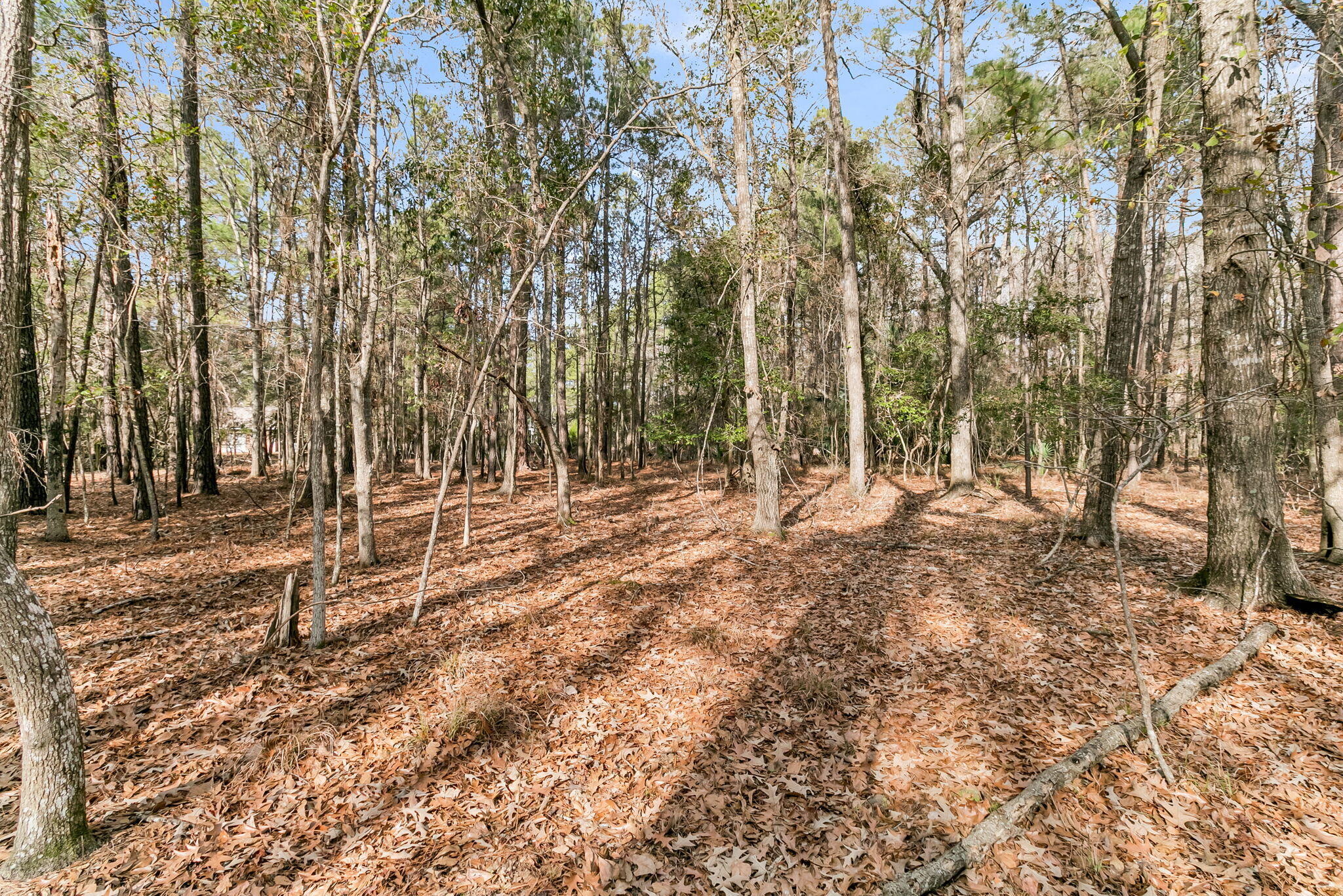 3786 Saint Ellens Drive