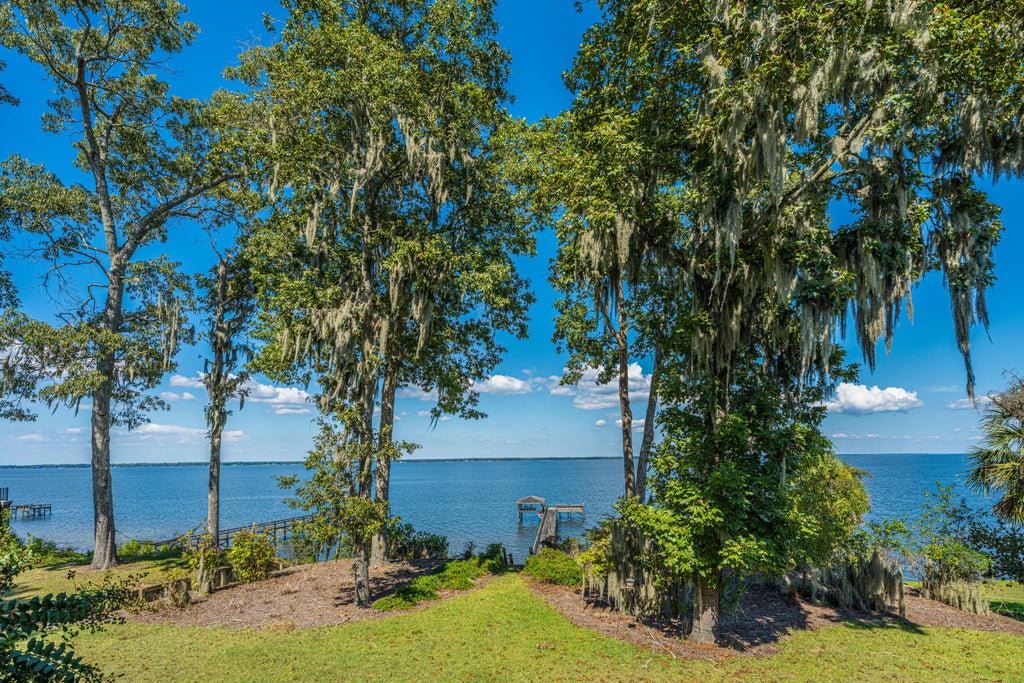 Photo of 113 Big Dog Lane, Eutawville, SC 29048 (MLS # 26027449)