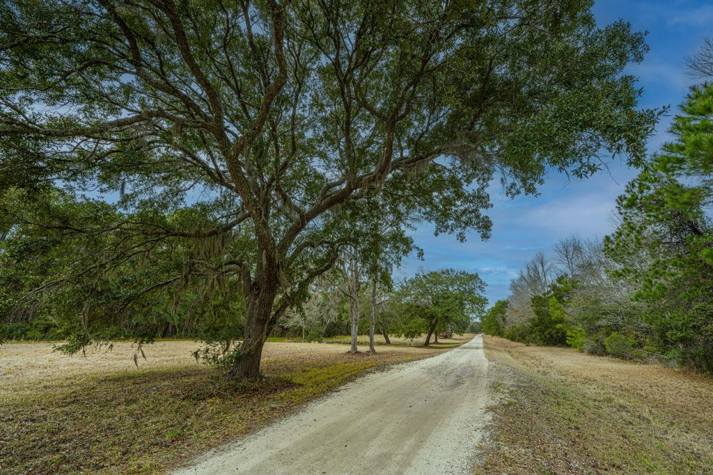 Photo of 8463 N Hwy 17, McClellanville, SC 29458 (MLS # 25022906)